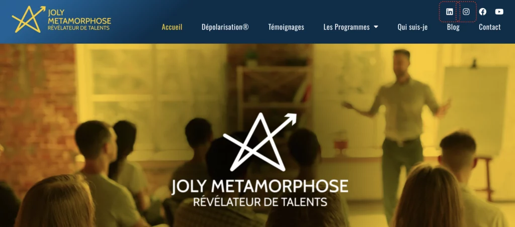 Affichage du site web page d accueil de joly metamorphose a nantes coach mental