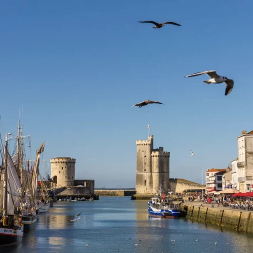 consultant-seo-la-rochelle consultant seo la rochelle charente maritime et redacteur web