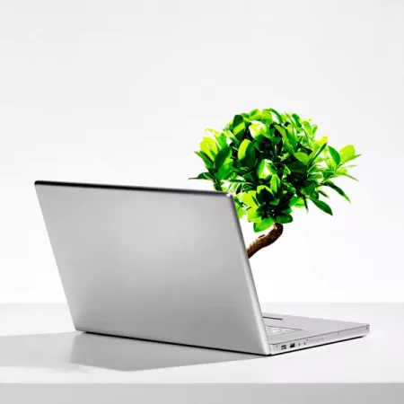plante verte sortant et grandissant depuis l ecran d un ordinateur blanc