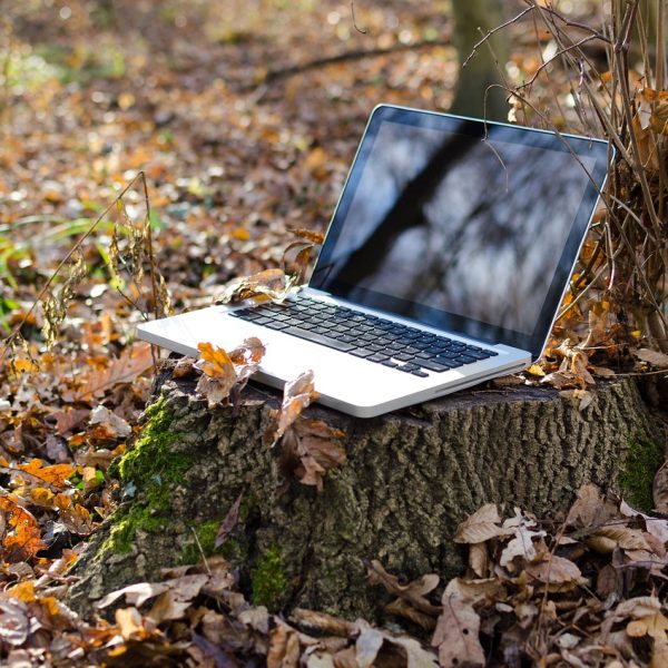 ordinateur en foret (pexel)