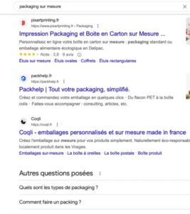 exemples de resultats organiques SEO sur Google