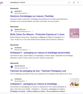 exemple de SERP Google avec SEA resultats payants