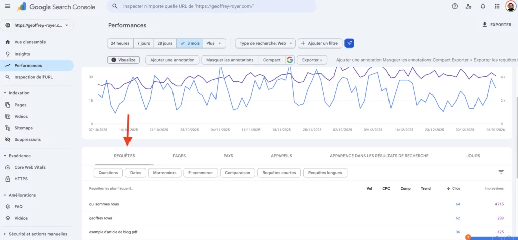 Rapport requêtes mots cles organiques seo gsc